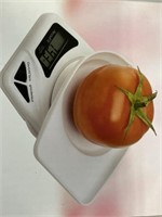 Accufit travel scale