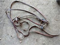 Complete Bridle and Split Reins