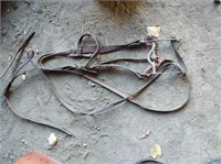 Complete Bridle and Split Reins