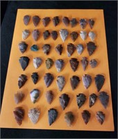 Variety of 50 Arrowheads