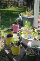 Planters around Well