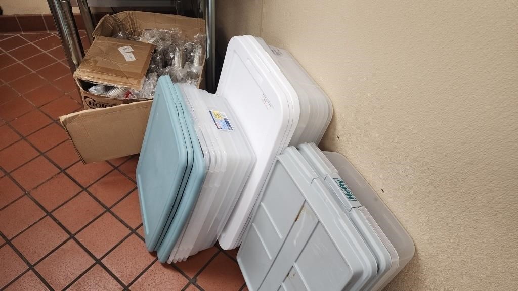 Storage Bins and Box of plastic cups