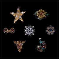 Ornate and Figural Brooches (7)