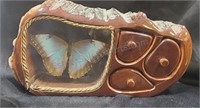 Butterfly mounted in  band saw jewelry box.