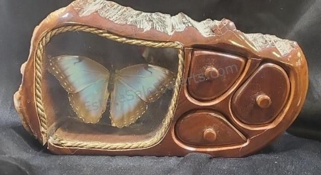 Butterfly mounted in  band saw jewelry box.