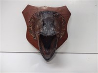 Mounted Fish Head