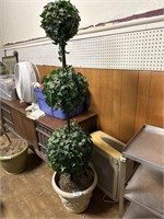 Potted, topiary.. approx 5’ tall