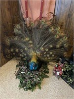 Stuffed Peacock, Taxidermy