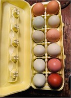 1- Doz Rainbow hatching eggs