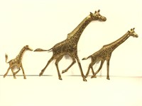 Set of 3 Running Giraffe Wall Art. 19in Largest.