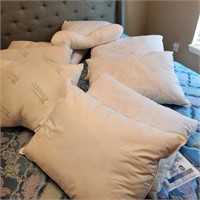 Lot of Pillows