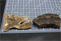2 Petrified Wood Endcuts, 13oz