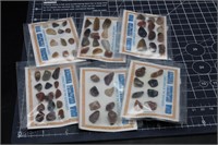 6 Cards W/ Arizona Polished Petrified Wood Samples