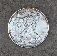 2019 Silver Eagle 1oz Fine Silver Dollar