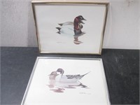Lot of Two Framed Duck Prints