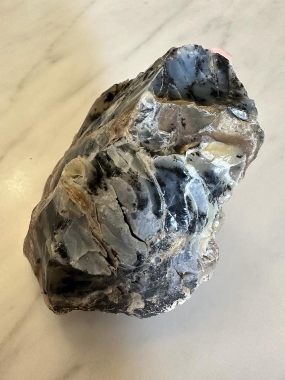 RAW DENDRITIC OPALIZED FOSSILIZED WOOD SPECIMEN