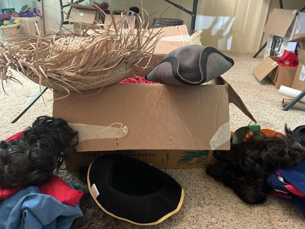 Box of children’s costumes