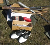 (11) Various style baseball bats, (2) Putters and