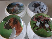 Boxer plates
