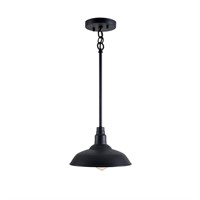 $99  Dale 1-Light Black Mini Pendant