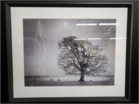 Gorgeous Framed Photograph with Sheep, Large