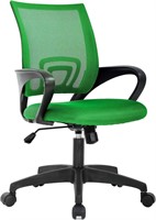 BestOffice Ergonomic Desk Chair-Green