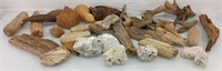 Lot of driftwood and coral