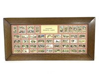 48 Players Cigarette Bird Cards c.1930's In Frame