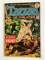 DC’s Tarzan No.208 1972 2nd DC Tarzan/John Carter