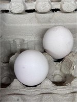 Peafowl Hatching Egg-Pied,White & India Blue Flock