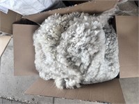 Raw Alpaca Fibre - from this year