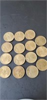 15 - Sacagawea dollar coins