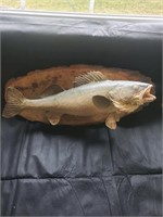 Trophy fish