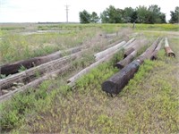 (20) Wood Highline Poles