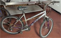 Silver Ladies Raleigh M 20 Mountain Bicycle