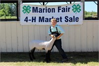 Reserve Champion Market Lamb- Kristopher Johnson