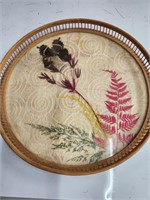 Vintage Pressed Butterfly Tray