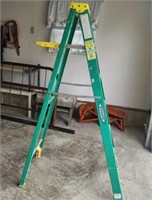 5 ft Werner Fiberglass Step Ladder