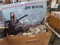 LOT VINYL RECORDS JOE WALSH,