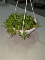 Flower small hanging basket