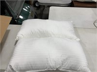 Pillows 20x36