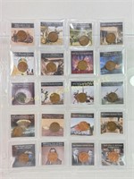 Group of 20 Lincoln Pennies with History Cards