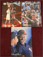 Michael Jordan Collectible Basketball and Baseball
