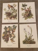 4 Audubon Prints