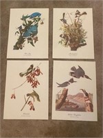 4 Audubon Prints
