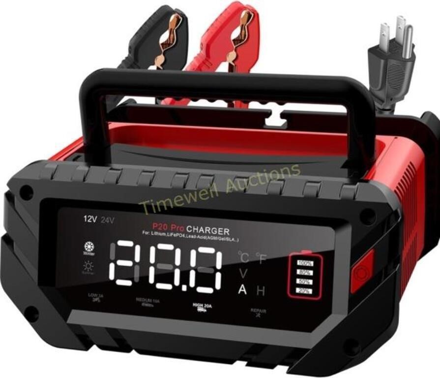 Lithium Lifepo4 20A Battery Charger  12V 24V