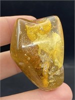 Amber, Fossil, Natural, Collectible, Specimen, Ins