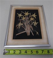 Rare Dyed & Framed Edelweiss Flowers