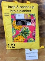 All-in-One Outdoor Blanket