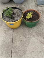 2 potted plants